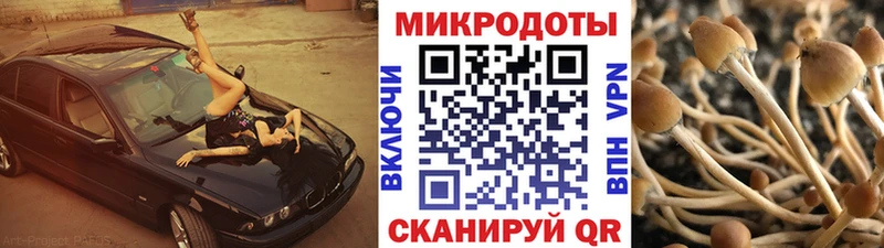 Галлюциногенные грибы MAGIC MUSHROOMS что такое наркотик Льгов